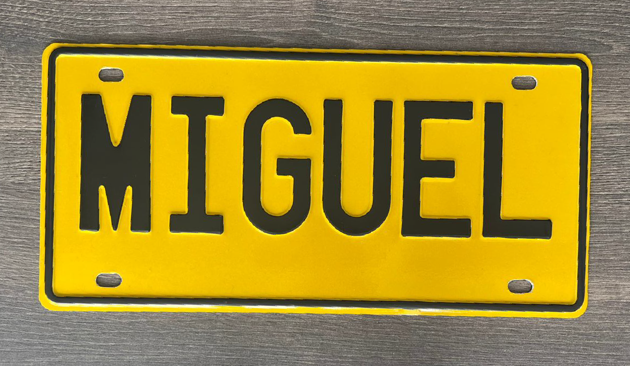 Placa tipo Carro - Miguel